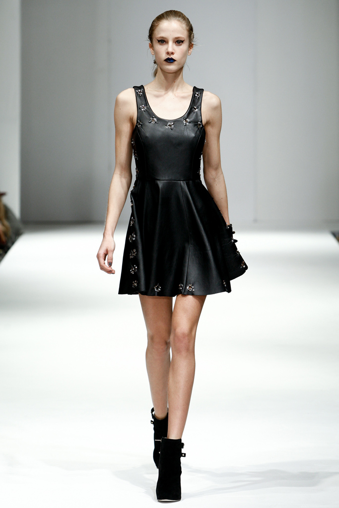 Felder Felder 2011�ﶬ���¸���ͼƬ