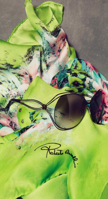 Roberto Cavalli 2011�������� LookBook����ͼƬ