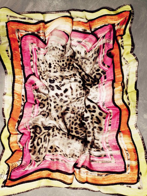 Roberto Cavalli 2011�������� LookBook����ͼƬ