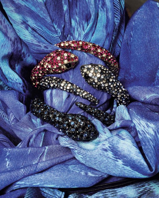 Roberto Cavalli 2011�������� LookBook����ͼƬ