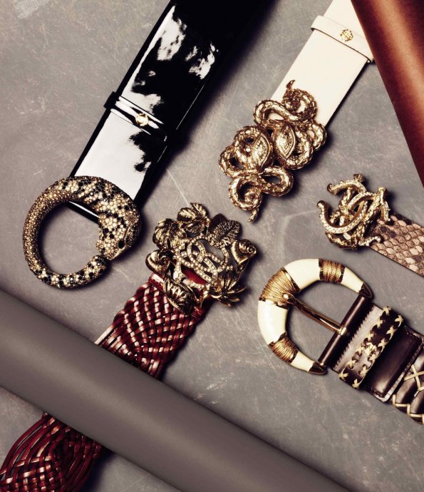 Roberto Cavalli 2011�������� LookBook����ͼƬ