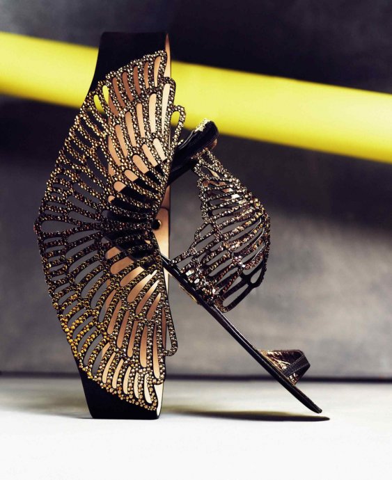 Roberto Cavalli 2011�������� LookBook����ͼƬ