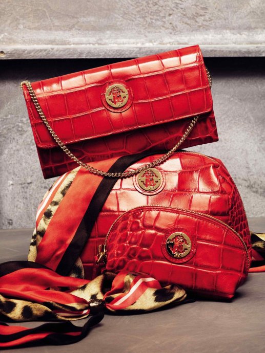 Roberto Cavalli 2011�������� LookBook����ͼƬ