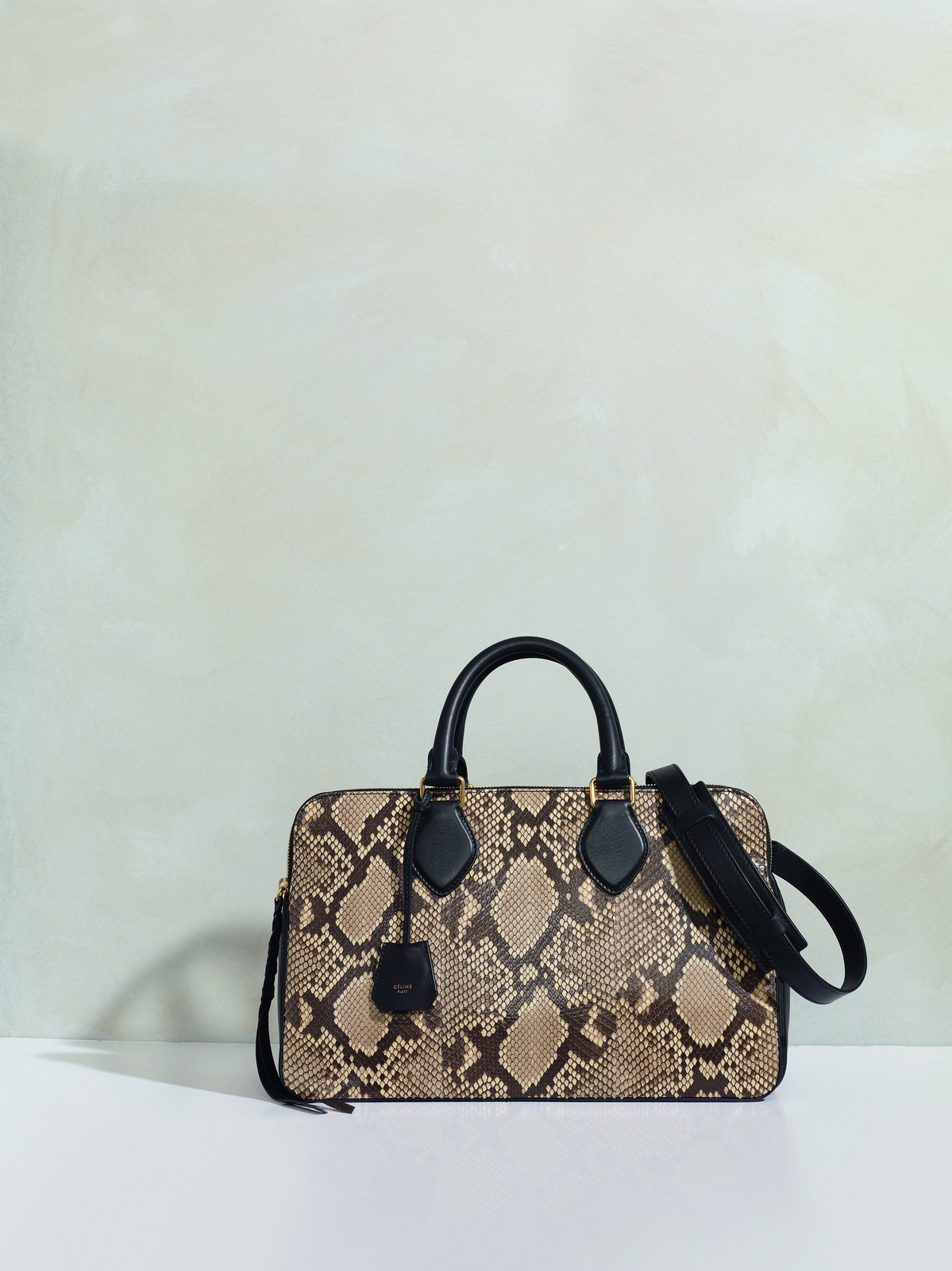 Celine 2011秋冬配饰lookbook