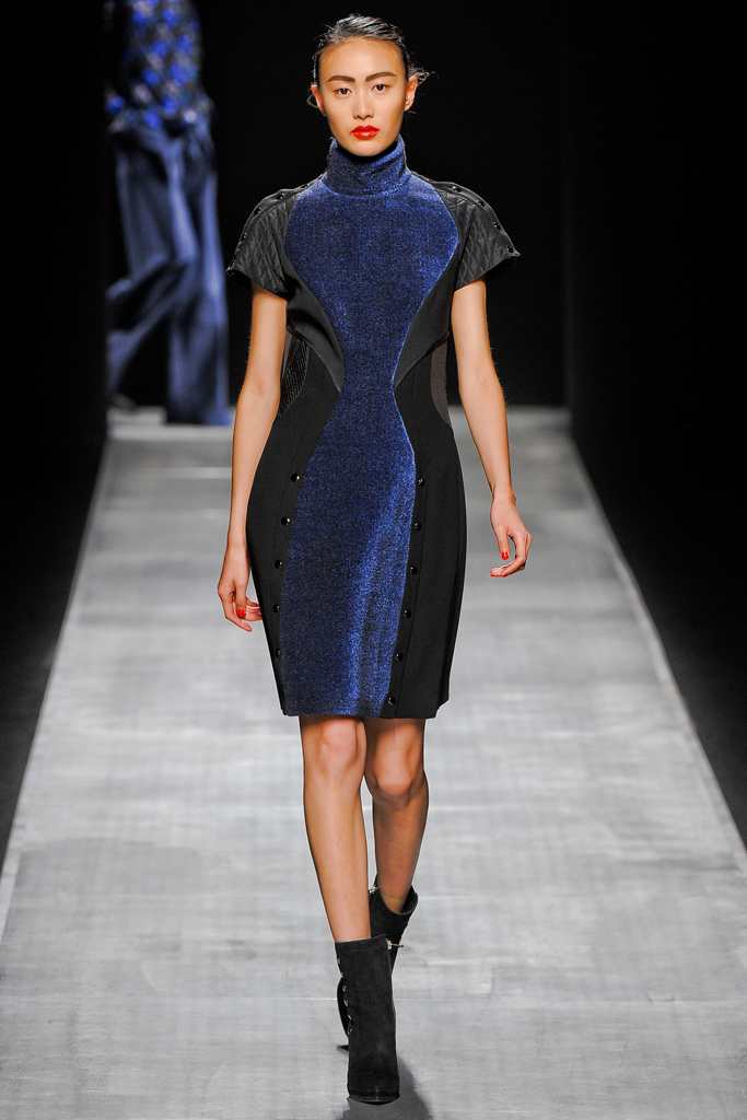 Sportmax 2012�ﶬ���¸���ͼƬ