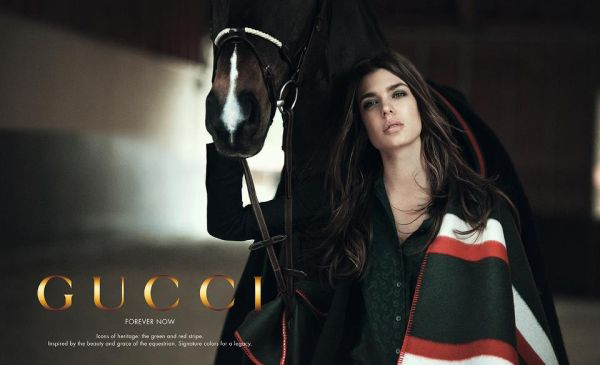 Gucci Forever Now  ͼƬ