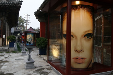 LACOSTE 75�����ɶ�