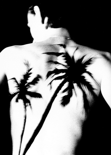 ��6+ �������ա�չ����ʦ����