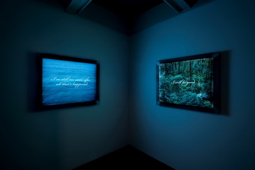 ��·�����ǣ�������С�����չ��ۿ�Ļ