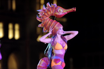 Life Ballʢ��ֿ����̲�