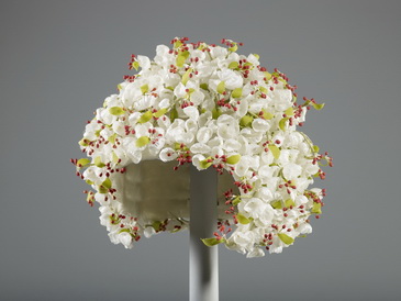 �����¹�����ɯ�׶����ķ�װ