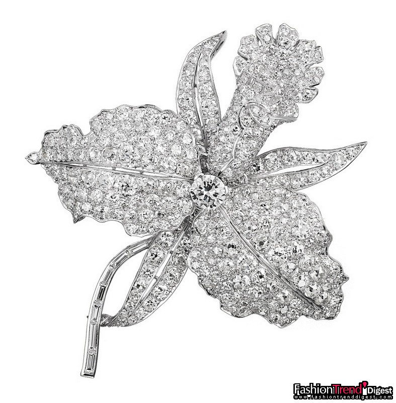 自然之师：Orchid 胸针<br>
铂金及钻石，1928年<br>
<br>
很多作品都展现了1920年代非常流行的日本风格对珠宝设计的影响，譬如这枚盛放的 Orchid 胸针，以铂金全铺镶的圆形切割钻石描绘招展的花瓣，花芯由一颗圆形切割钻石妆点，嫩枝以长方形切割钻石勾勒。<br>
<br>
Van Cleef & Arpels 梵克雅宝典藏 