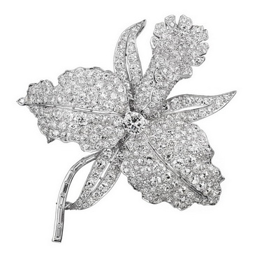 ����ű�The Spirit of Beauty�����ع�չ