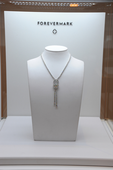 JOYCE 2010����ϵ��Private Preview