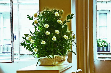 Thomas�ı�ҵ�㣺����STUDIO BERCOTʱװ���ѧԺ