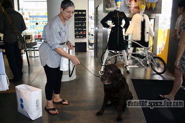 Shopping in Paris��COLETTE