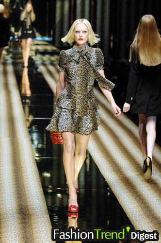 D & G 07秋冬